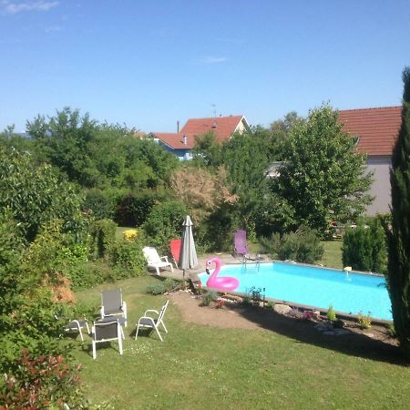 Gite Des 3 Cigognes Colmar Esterno foto