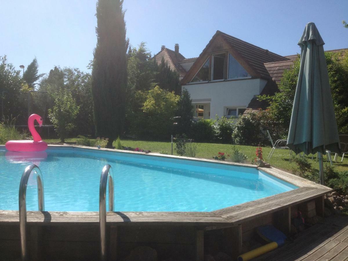 Gite Des 3 Cigognes Colmar Esterno foto